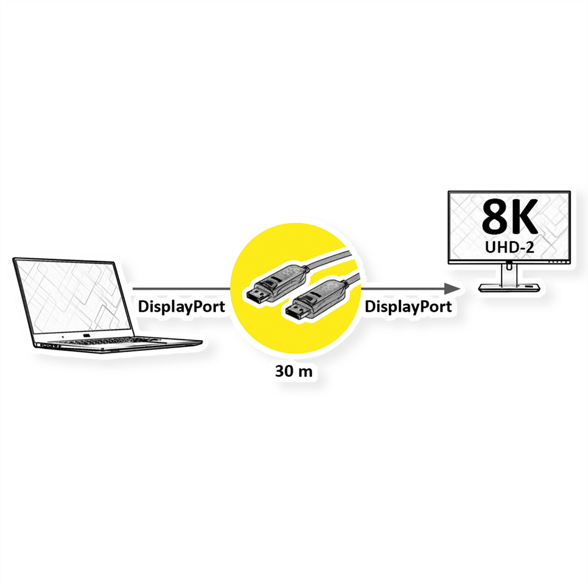 ROLINE DisplayPort Kabel AOC ST ST 30,0 m 1181,10Zoll