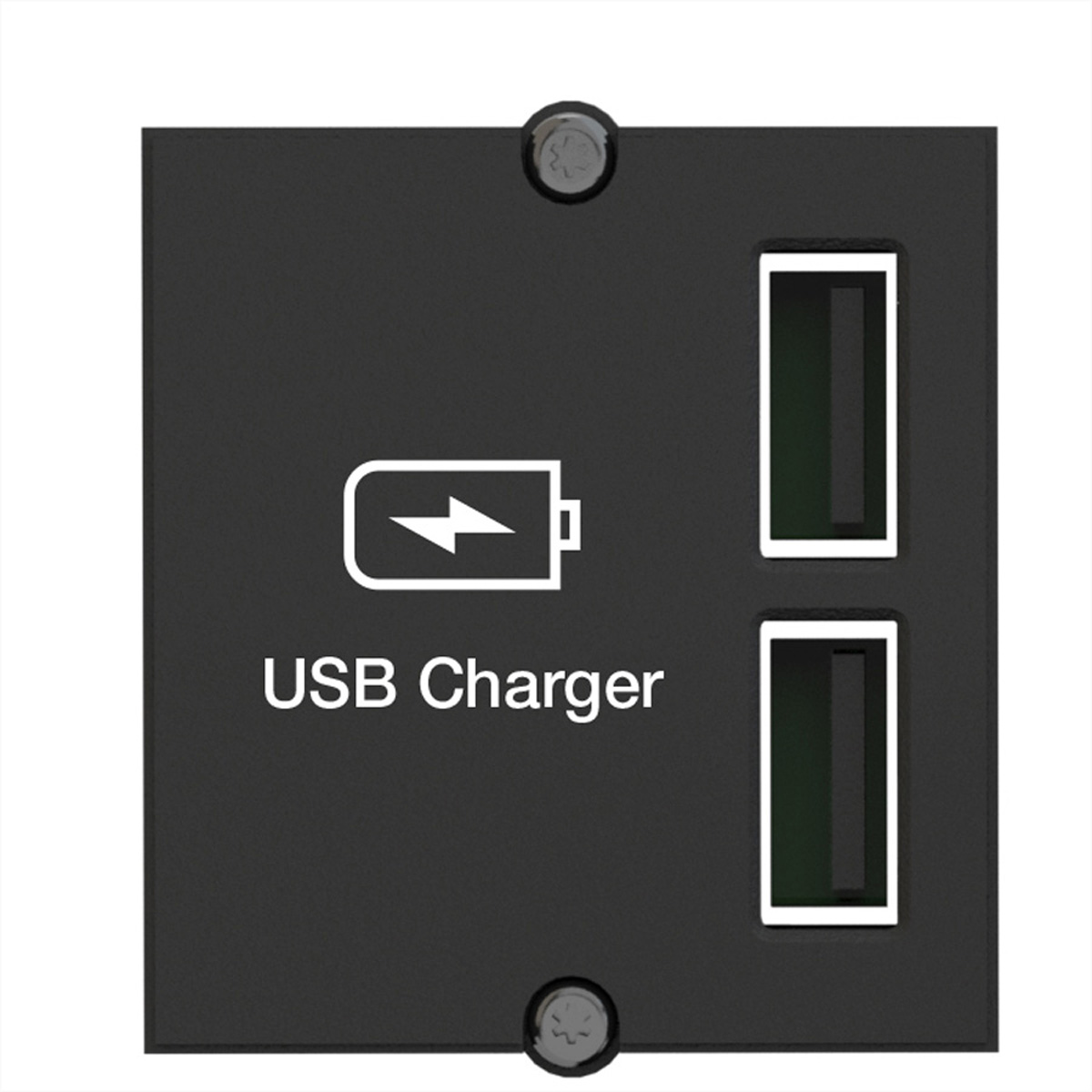 BACHMANN Custom Module USB 917.224 Doppel-Charger