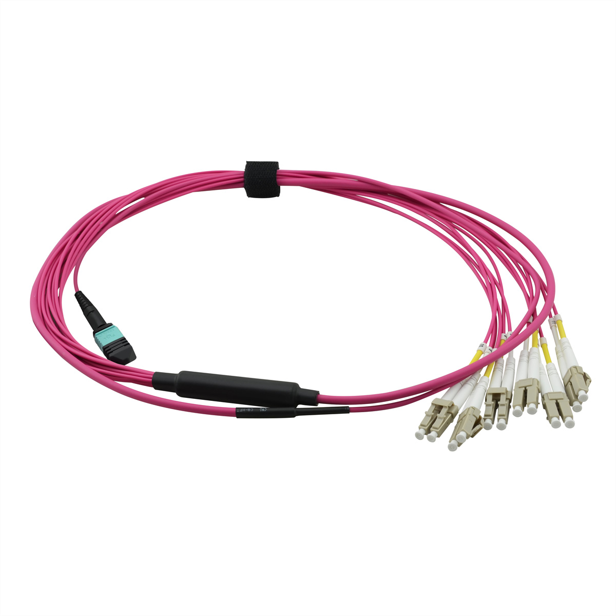 VALUE MPO-Fanout-Kabel 50/125µm OM4, MPO/12x LC, violett, 2 m