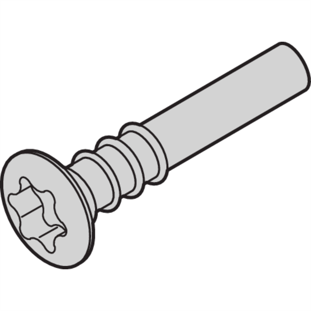 SCHROFF Torx-Linsenkopfschraube - NTS LISESHR TORX3.0X20 100ST