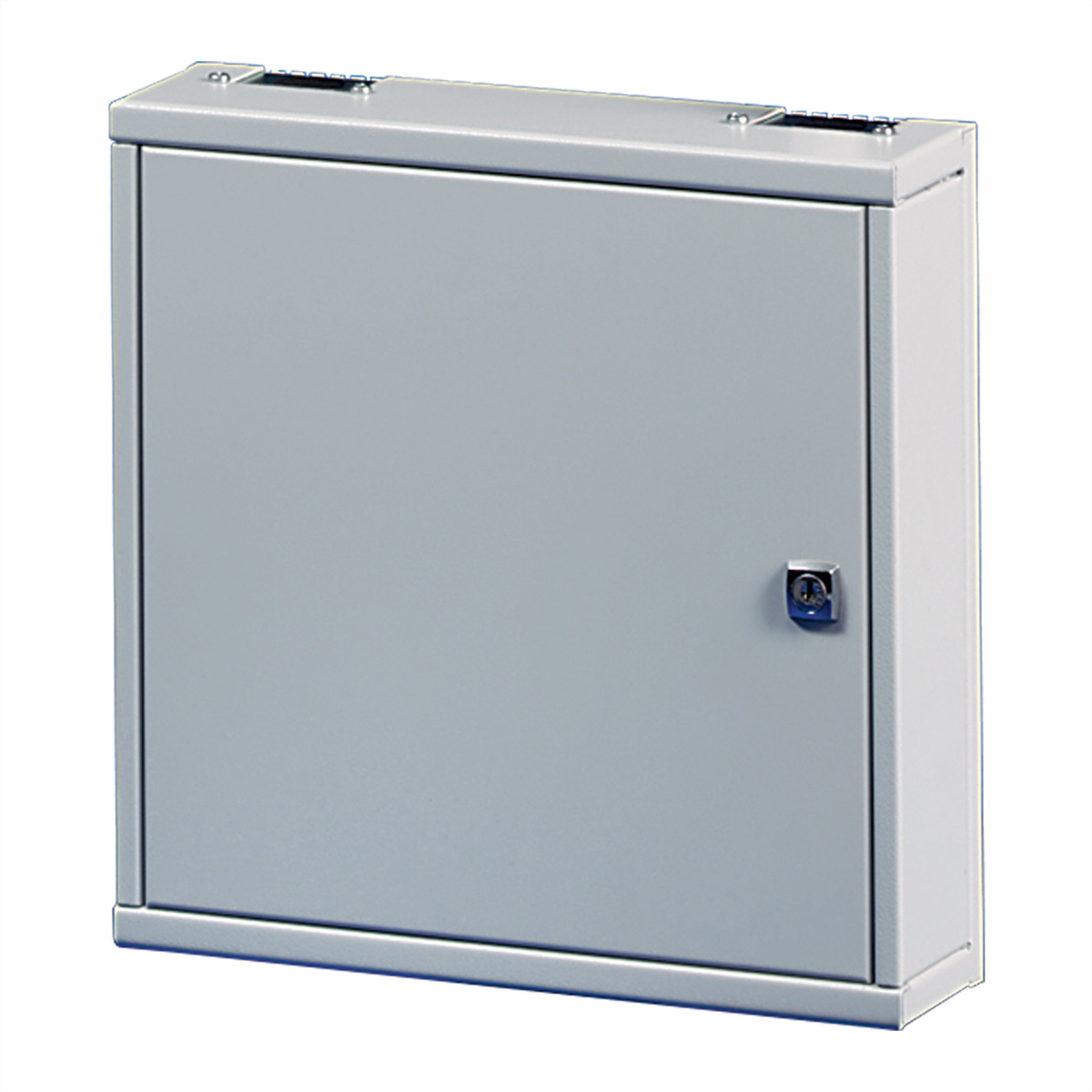 SCHROFF LWL-Kleingehäuse - KLEINGEHAEUSE 300X300X85