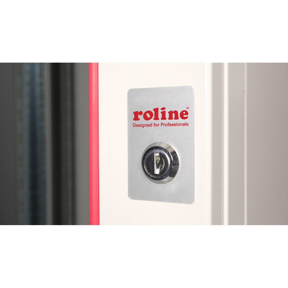 ROLINE 19-Zoll Wandgehäuse Pro 12 HE, 600x600 BxT zweiteilig schwenkbar grau