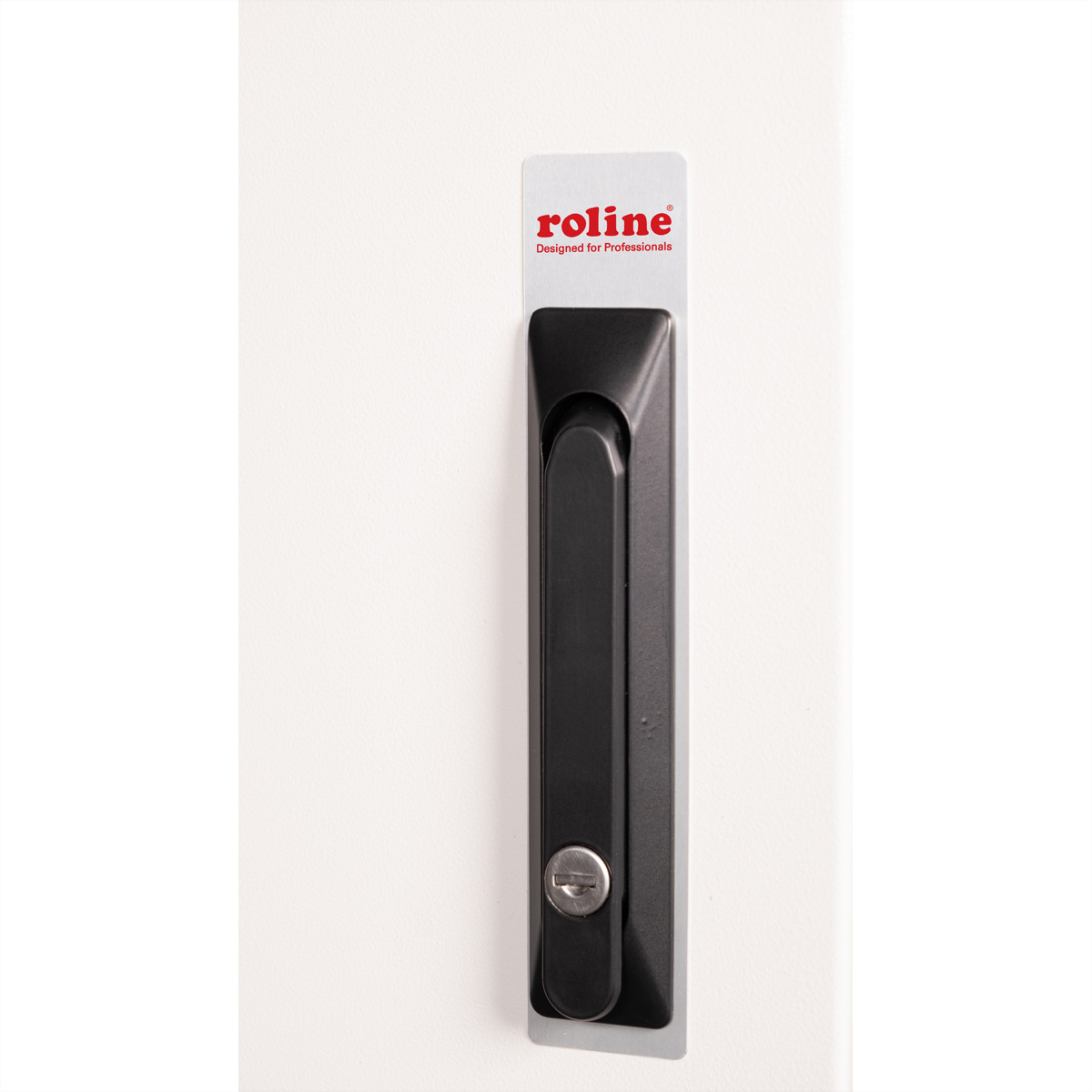 ROLINE 19-Zoll Wandgehäuse Pro 16 HE, 600x600 BxT IP55 outdoor grau