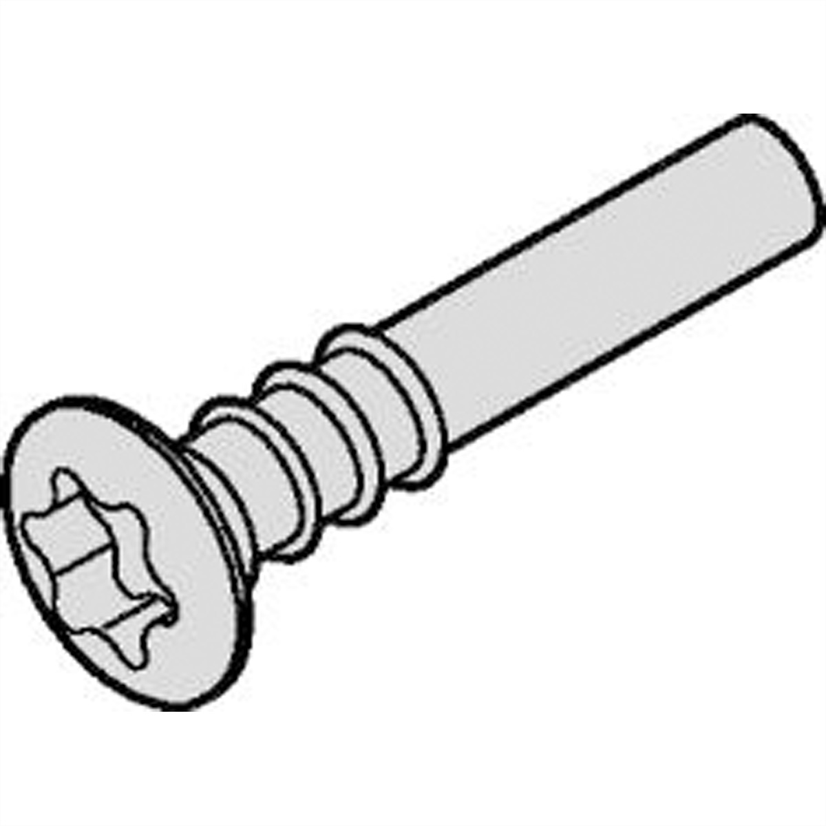 SCHROFF Torx-Linsenkopfschraube - NTS LISESHR TORX3.0X20 24812501 (BILD2)